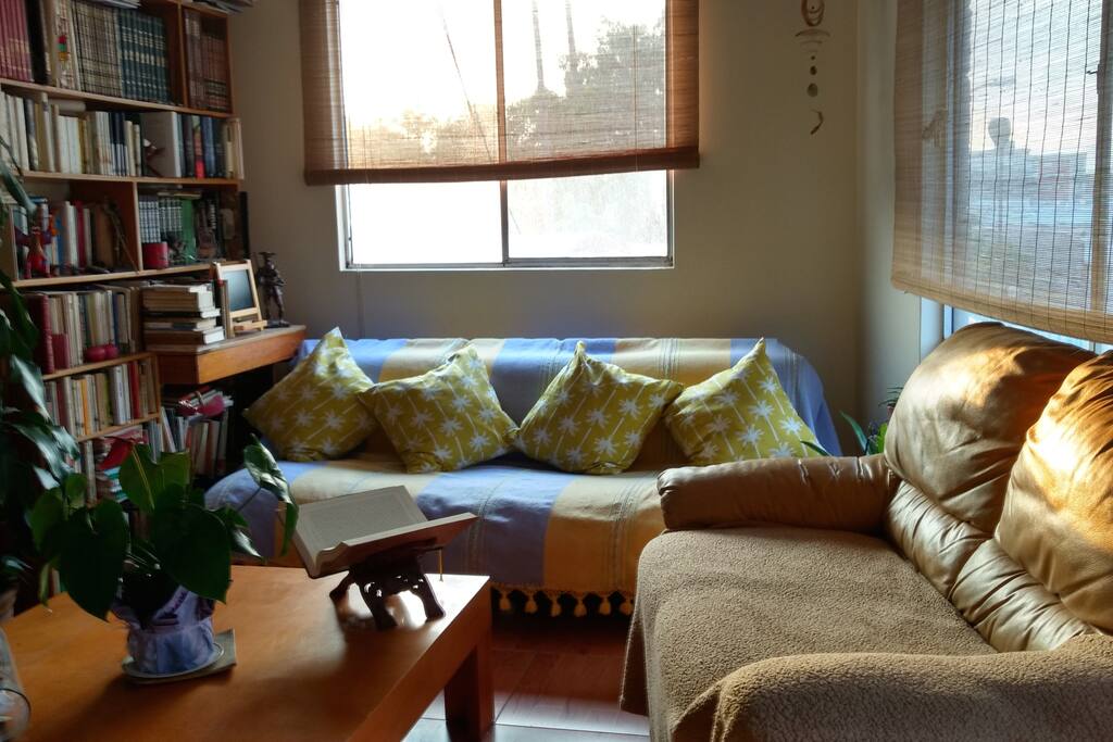 Comfy living room perfect for reading or relaxing.