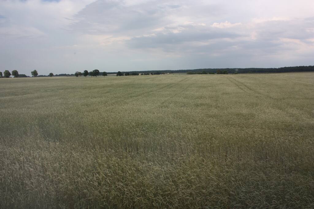 Ausblick