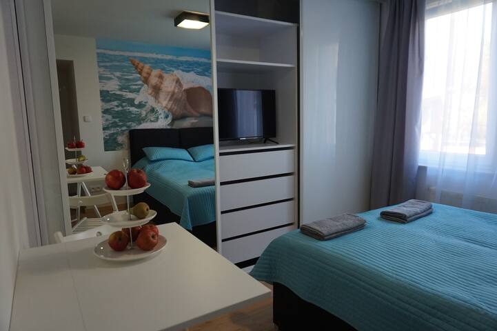 Seashell Suite