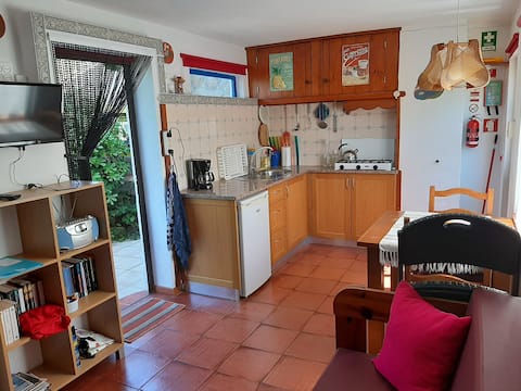 Imóvel de sucesso: "ANDORINHA I" Rural, cosy, with privat terras ! em São Martinho Do Porto