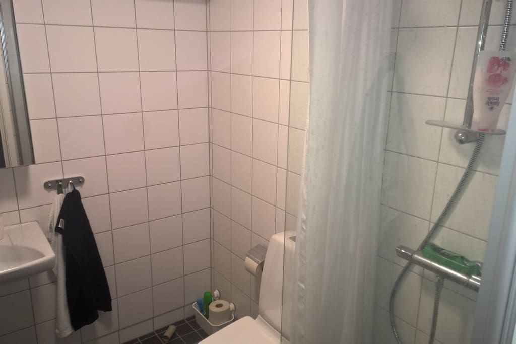 Big fresh bathroom