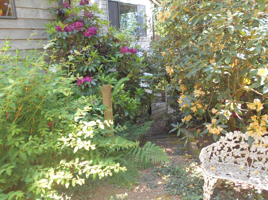 The path to the bathroom in the main house