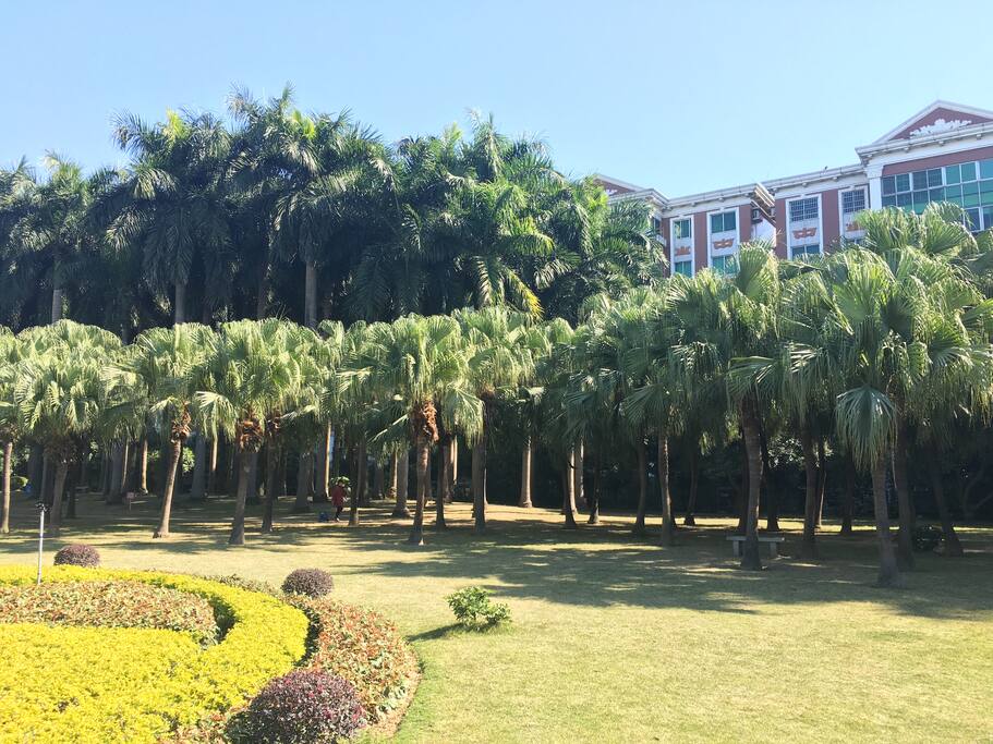 我家就在这绿色之中。