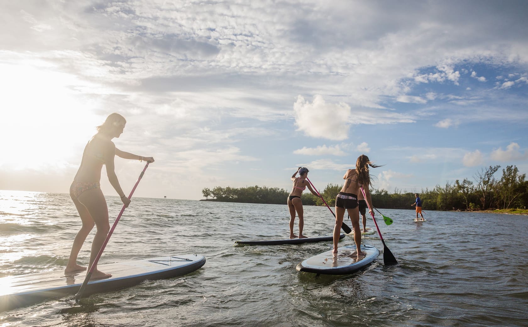 Miami : les meilleures activités | Visites et expériences uniques -  Floride, États-Unis | Airbnb