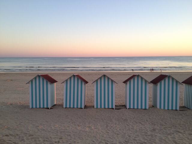 Caf Ef Bf Bd De La Plage Saint Hilaire Caf Ef Bf Bd De La Plage Saint Hilaire