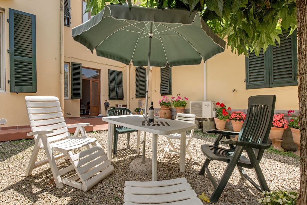 the garden