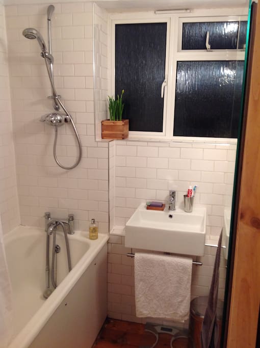 Bathroom - shared with one other (me).