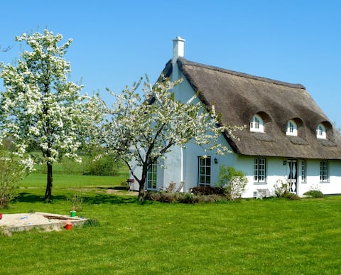 Nature holiday Baltic Sea "Reetkaten"