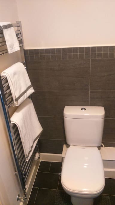 Modern ensuite bathroom