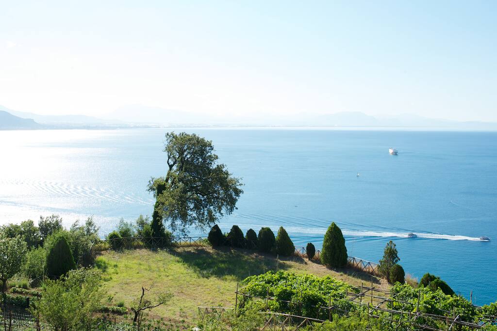 Sopra il Limoneto: terrazza panoramica sul Golfo di Salerno