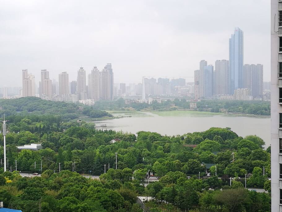 推开窗,望琴台公园,品月湖之美
高山流水觅知音……