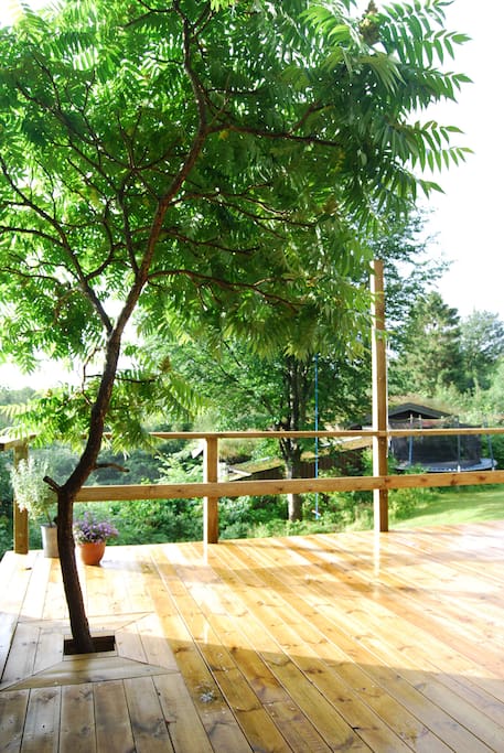 Scandinavian tropics