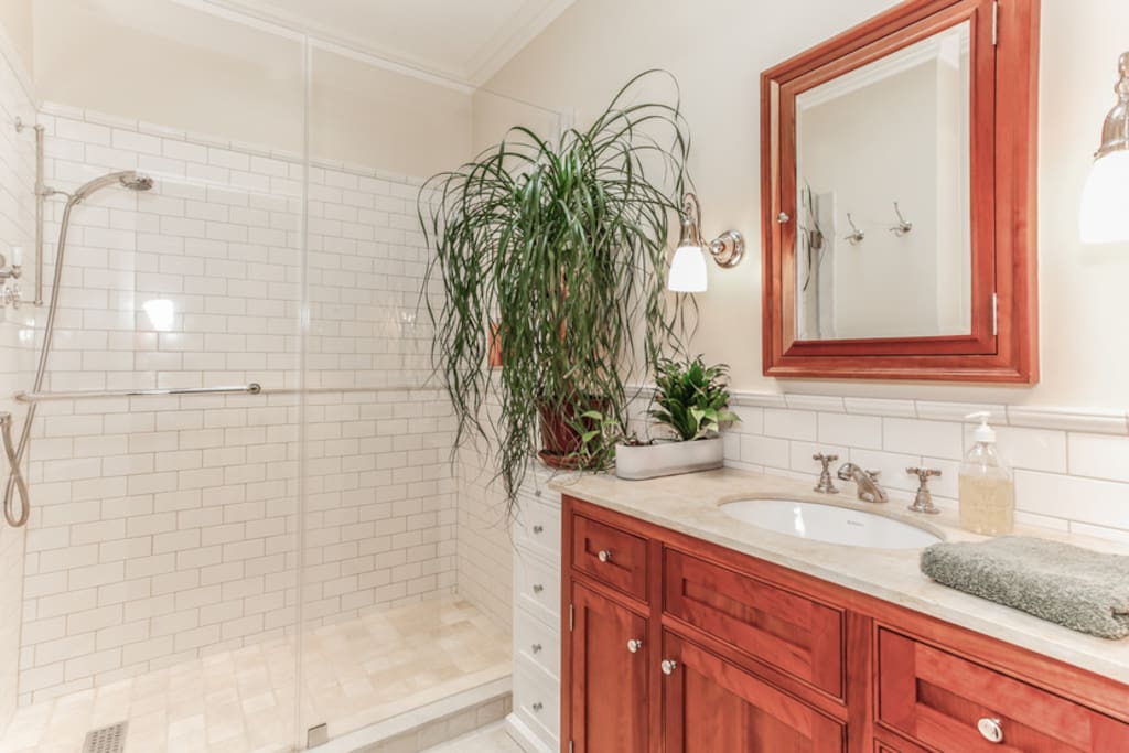 Guest bathroom