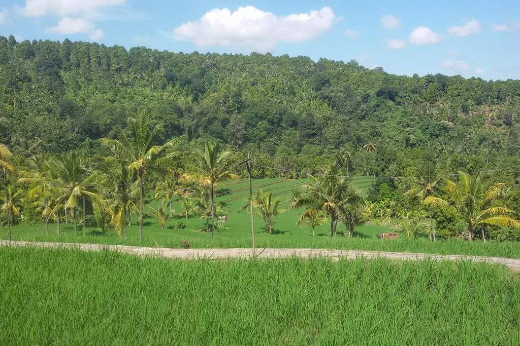 Pemandangan dari teras kamar