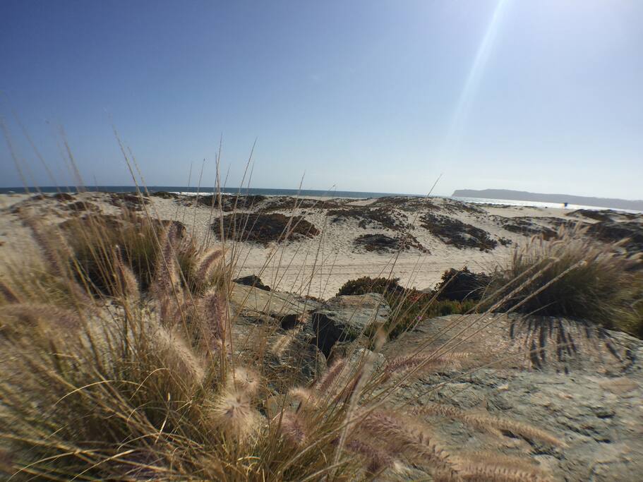 Located in Beautiful Coronado, CA