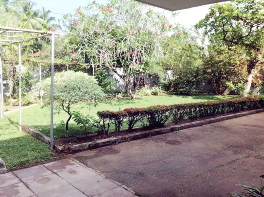 Front garden