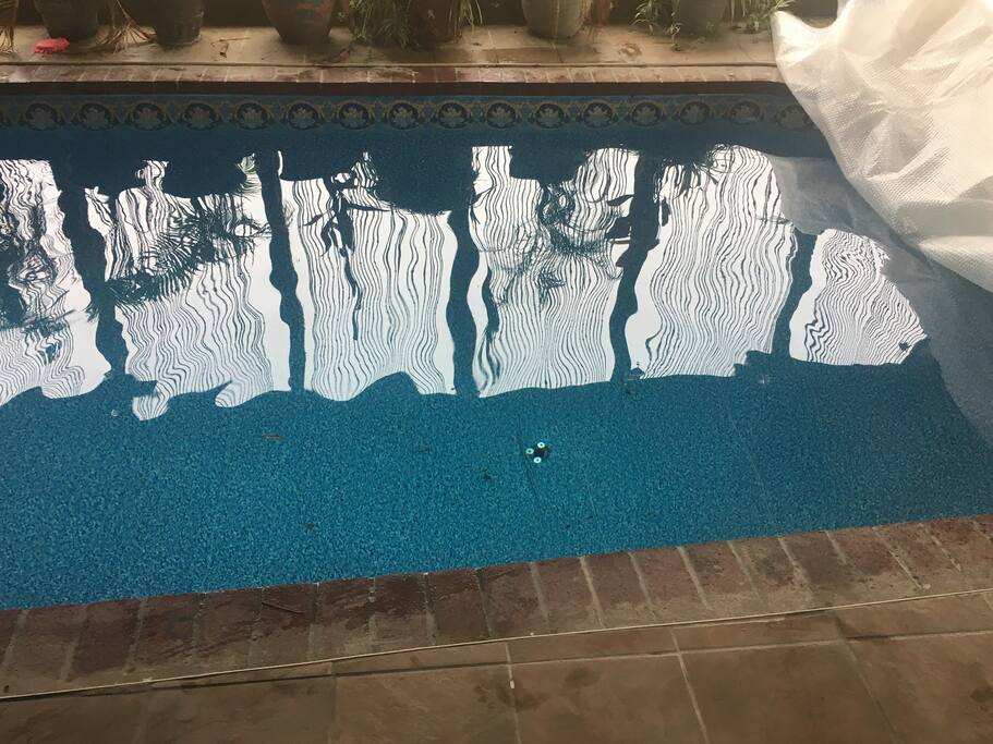Swim laps in the heated pool!