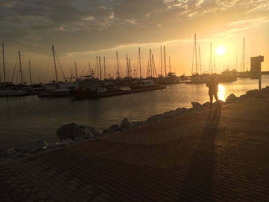 Hermosa marina de Santa marta