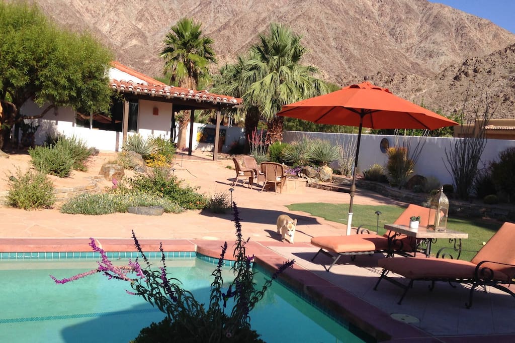 Casita view with pool