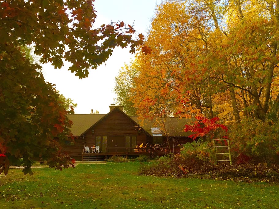 Bed And Breakfast Manistee National Forest Bed And Breakfast Manistee National Forest