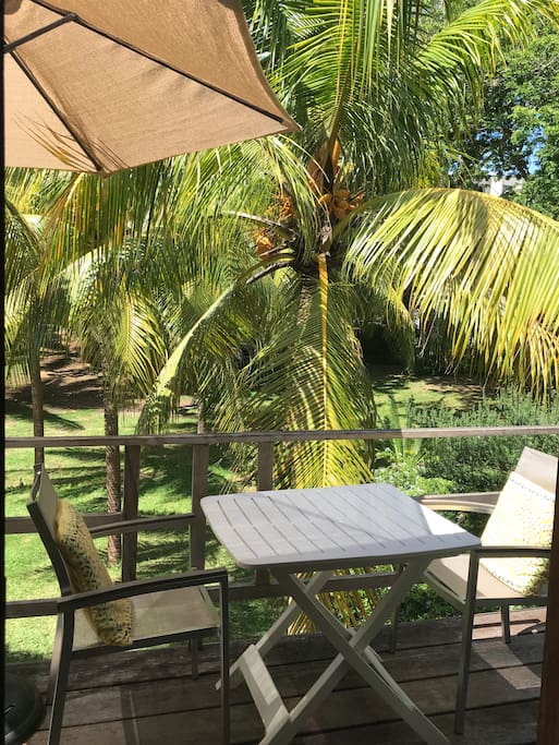 Terrasse avant vue jardin de cocos