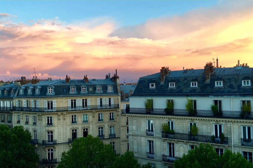 Paris roofs view