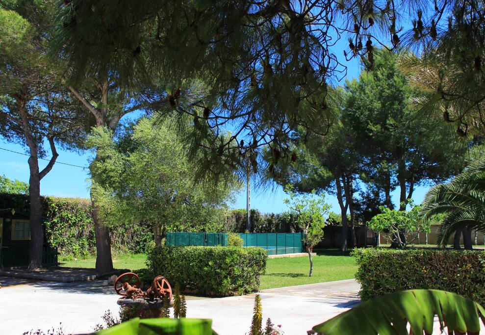 Pool-Finca Paloma Poolzaun