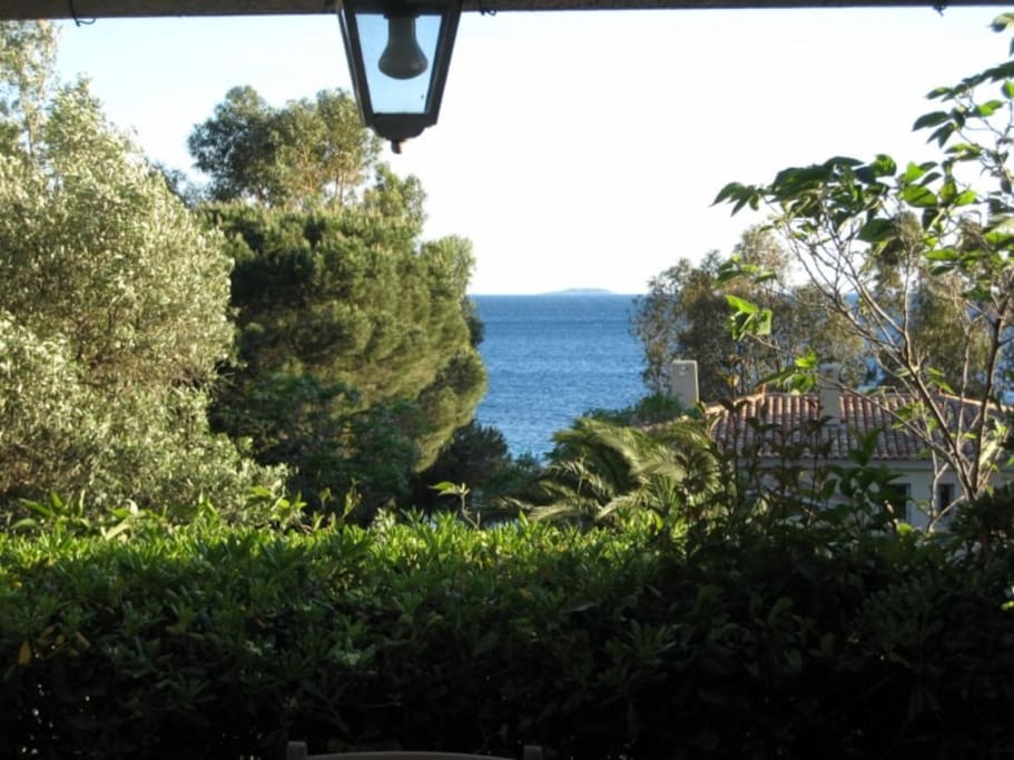 View from the house!