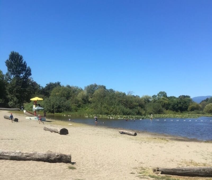 The beach and swimming area in the Trout Lake 5 minutes from my house.