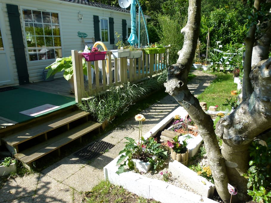 la terrasse et le jardin