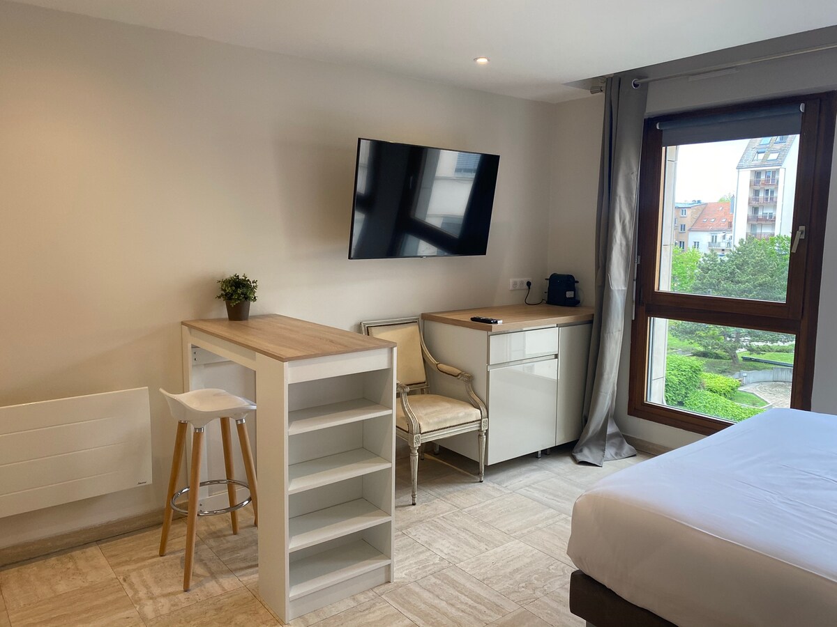 Top performing Airbnb: Studio SPA in Tribunal Gare Porte De Schirmeck