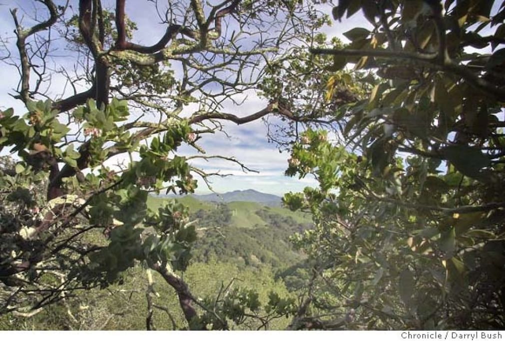 1 mile from Huckleberry Botanic Regional Reserve