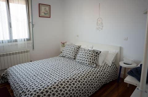 Gernikaenea EBI01245