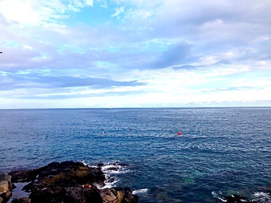 view, 5 metres from the house