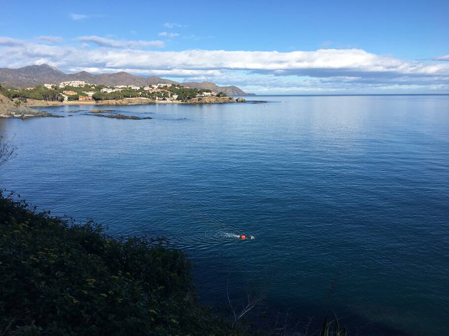 Early morning swimming