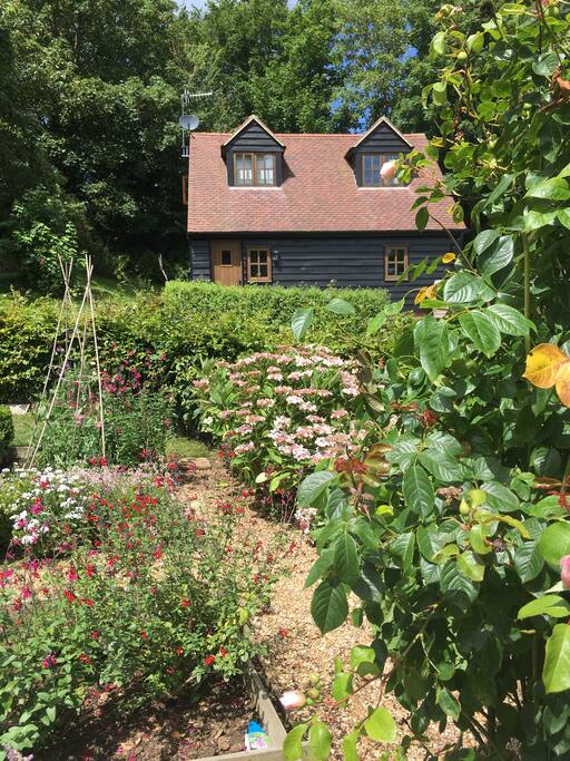The Barn in Summer