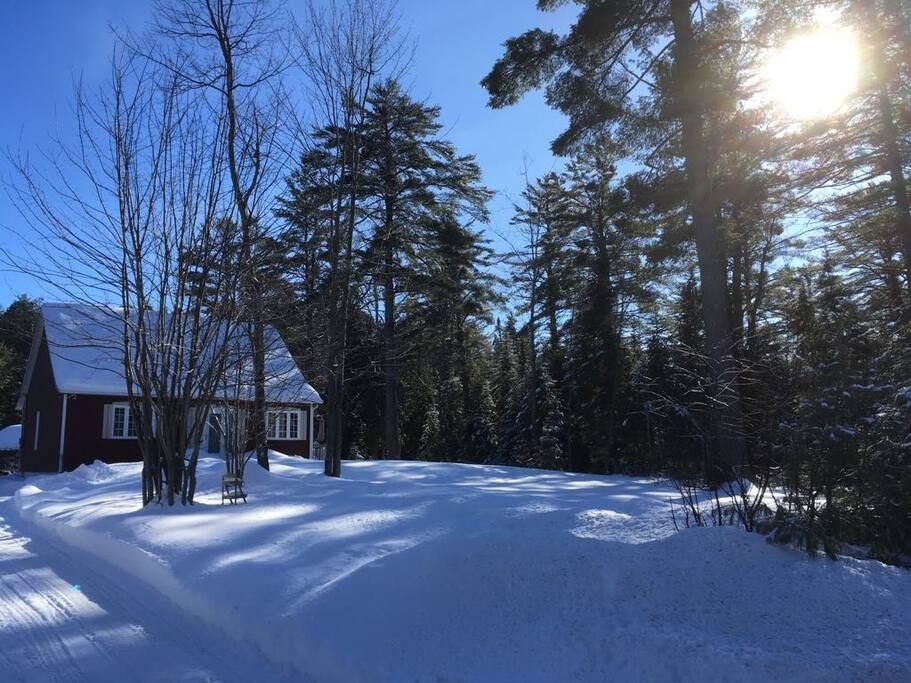 Hiver janvier 2018