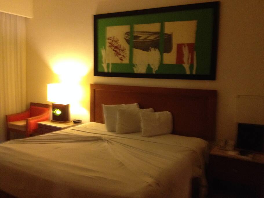 One bedrm suite with King bed Bdrm has 2 dressers, lounger, closet and balcony with privacy doors to living area and 4 pc BR.