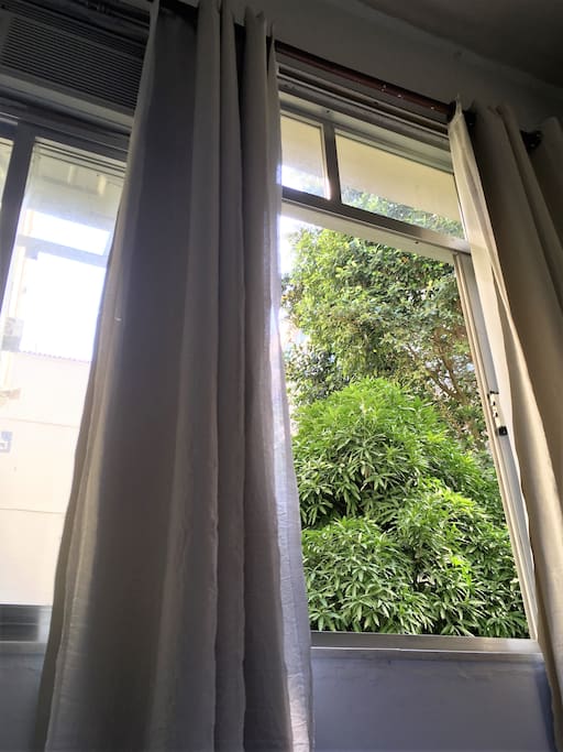 green view from the 5th floor