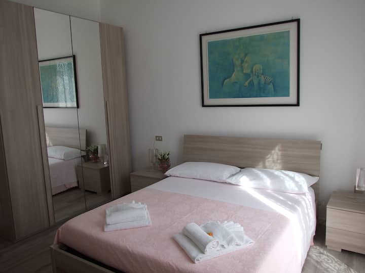 Stanza Begonia (Double)