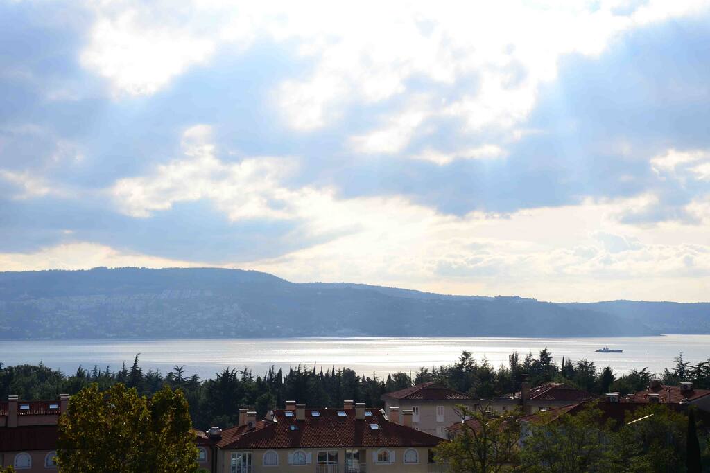 seaview