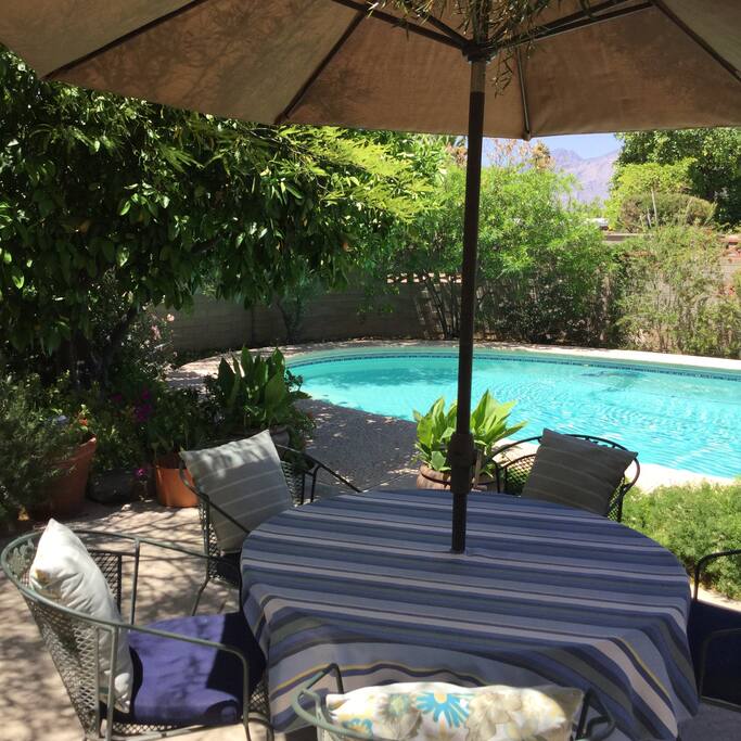 Relax by the pool