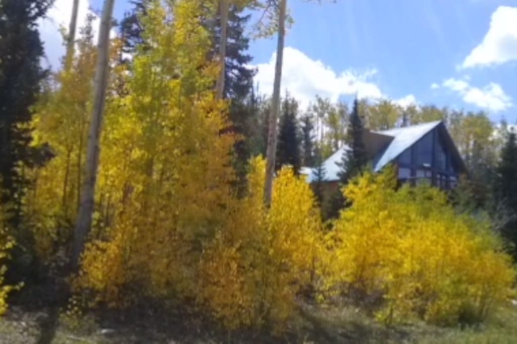 Cabin w/Fall colors