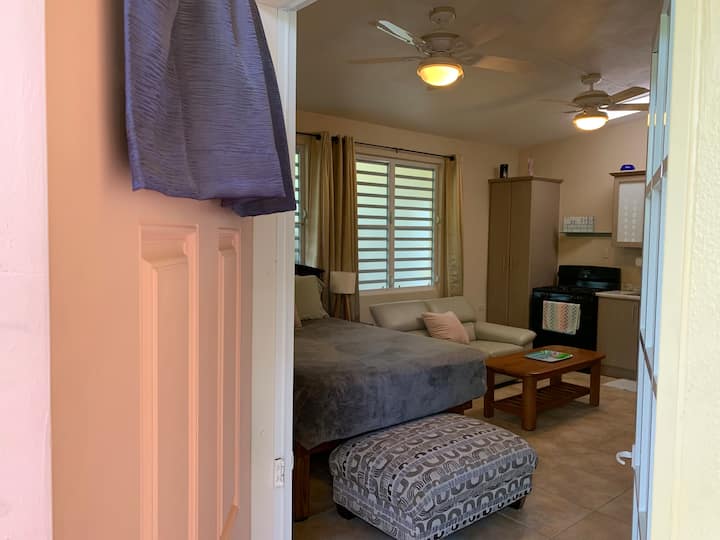 Royal Palm suite A. View of studio from front door. Queen bed, love seat, fully equipped kitchen, table and chairs, dresser and entertainment center including, Netflix, you tube and cable tv. AC and fans.