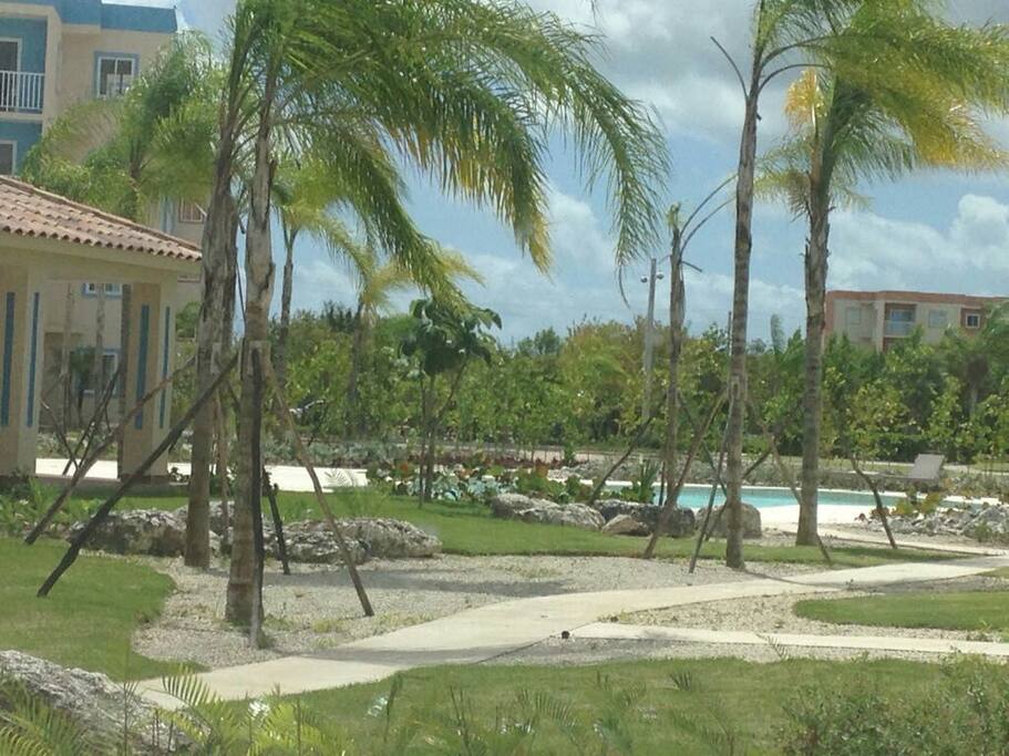 Area Común