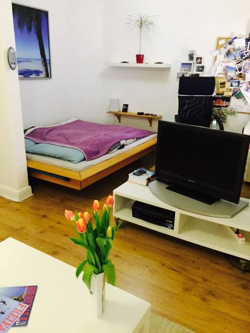 combined bedroom / living room