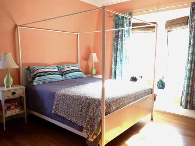 Victorian Gem in Historic Elmwood gallery image 3