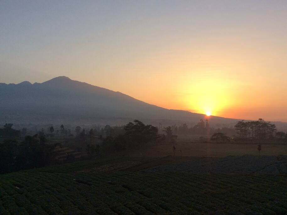 View Sun rise dan Gunung Arjuno dari kebun sayur sekitar rumah