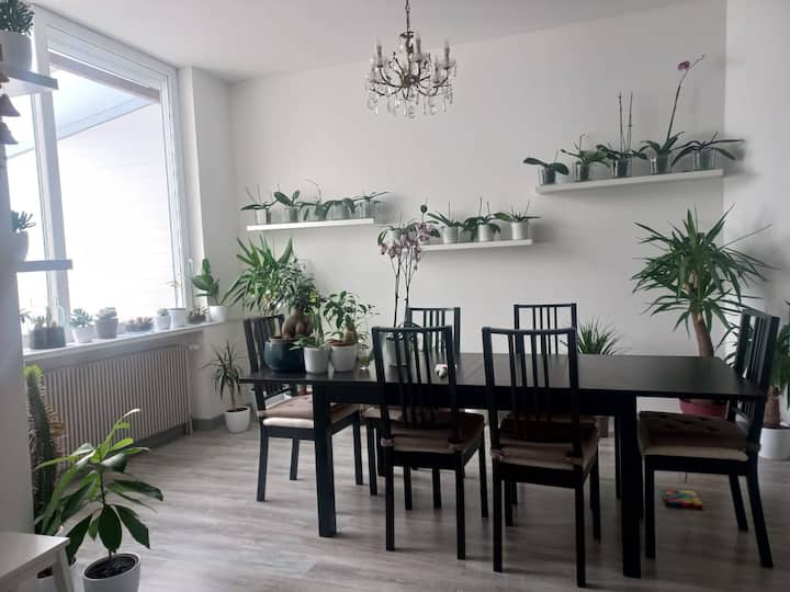 Maison Proche De La Plage Avec Jardin Exposé Sud - Malo