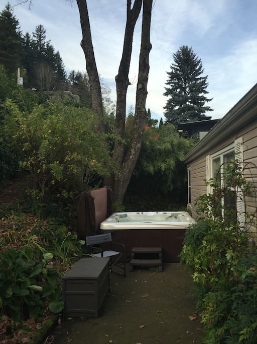 Hot tub view is of bamboo, trees and sky